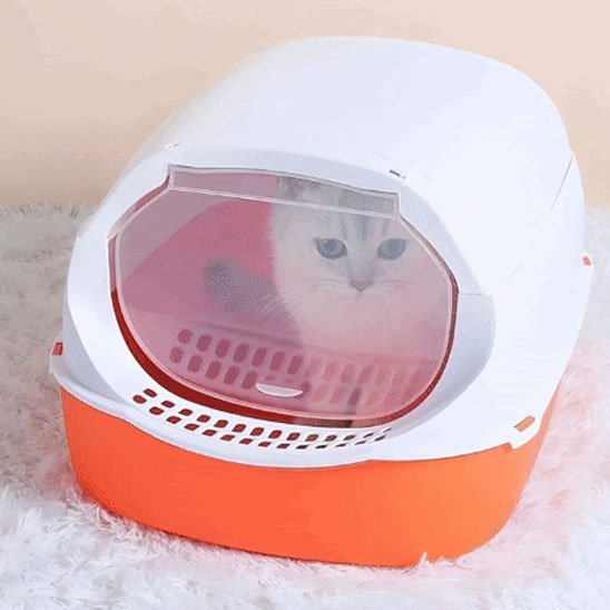 Bac à litière pour chat | Zen Clean