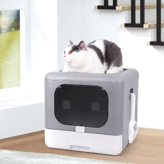 Bac litière chat | PuroDor