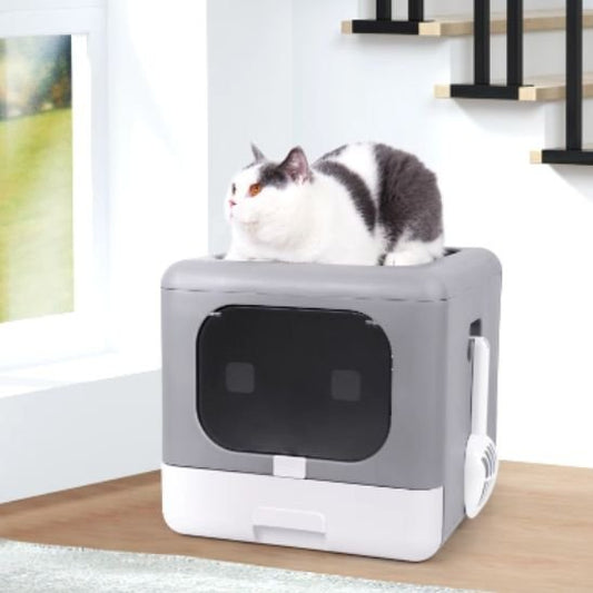 Bac litière chat | PuroDor