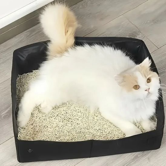 Bac à litière chat | Odorless