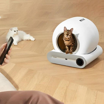 Bac à Litière Chat | Anti-Odeurs Design