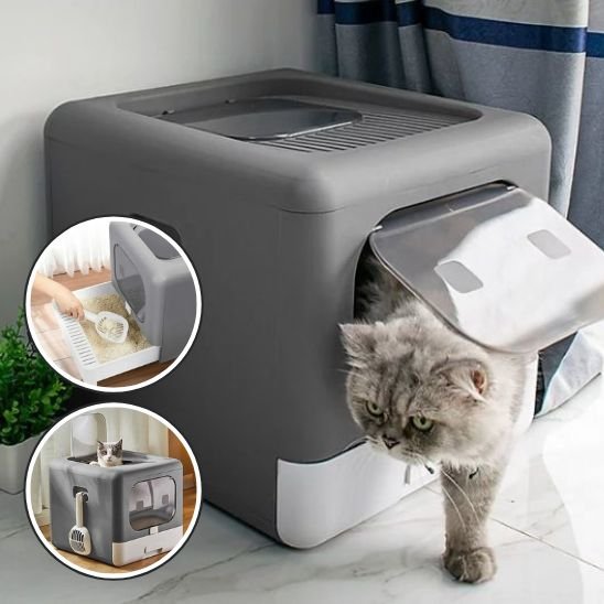 Bac litière chat | PuroDor