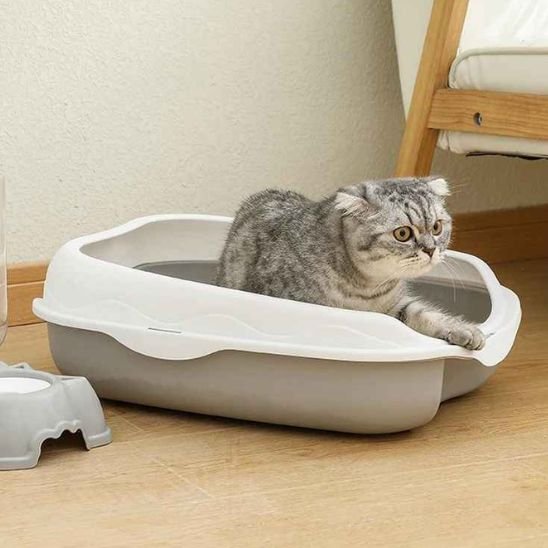 Bac à litière chat | Anti-odeurs Premium