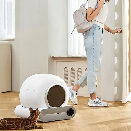 Bac à Litière Chat | Anti-Odeurs Design