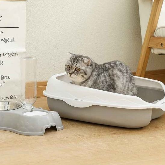 Bac à litière chat | Anti-odeurs Premium