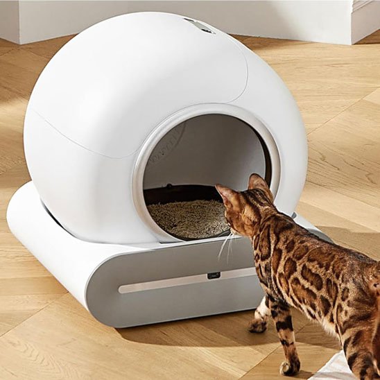 Bac à Litière Chat | Anti-Odeurs Design