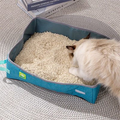 Bac à litière Chat | Design Anti-odeur