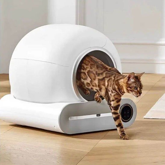 Bac à Litière Chat | Anti-Odeurs Design