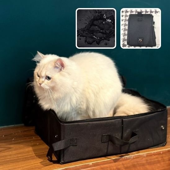 Bac à litière chat | Odorless