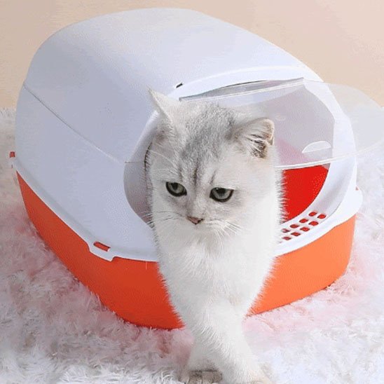 Bac à litière pour chat | Zen Clean