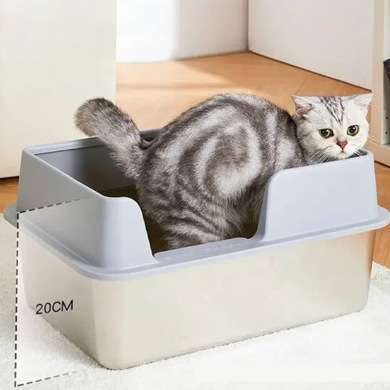 Bac à litière pour chat | Anti-odeurs