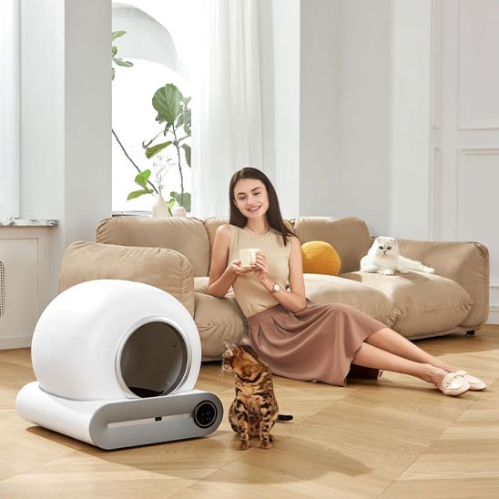 Bac à Litière Chat | Anti-Odeurs Design