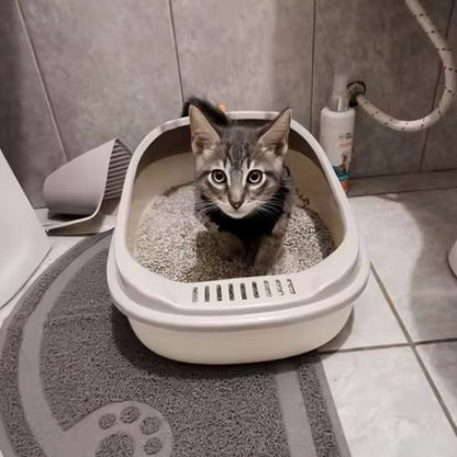 Bac à litière chat | Design Anti-odeurs